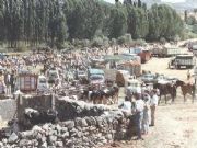 Feria de ganado en Villafranca de la Sierra